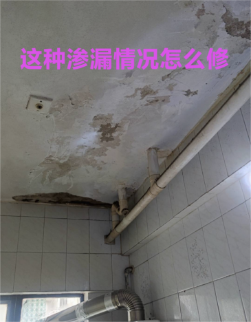 微信图片_20260203143831_85_2(1)(1)(1)(1).png